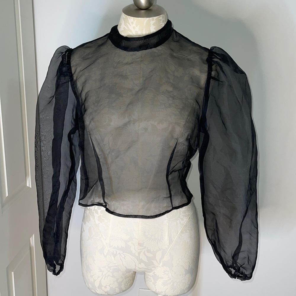 Sheer shirt